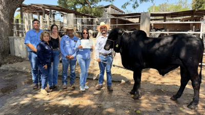 La Facultad adquirió un semental de la raza Sardo Negro de registro